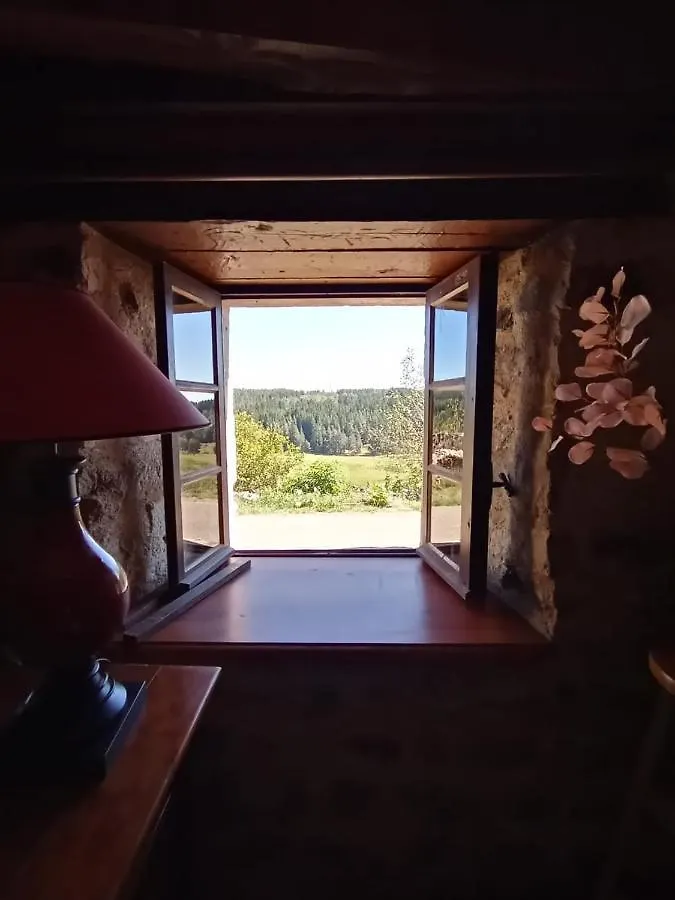 Les Chambres De Solol Felines
