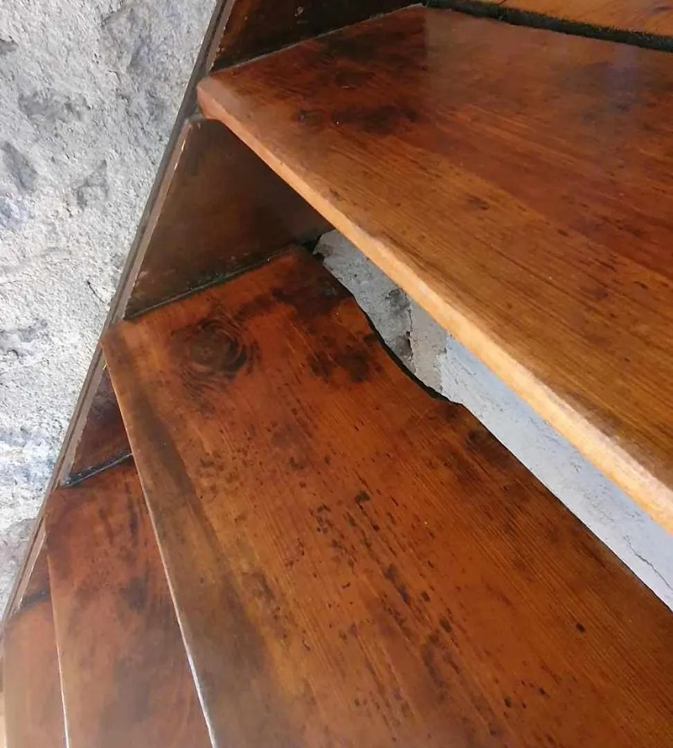 Les Chambres De Solol Felines 0*,